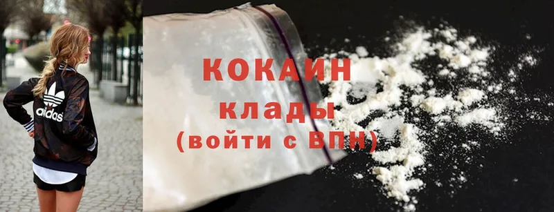 дарнет шоп  Красный Кут  Cocaine Колумбийский 