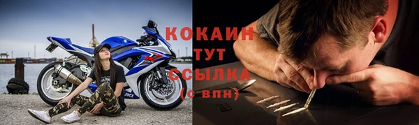 ALPHA PVP Няндома
