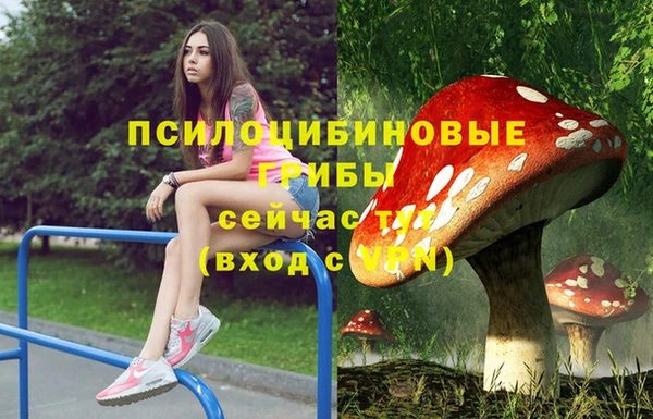 мдпв Нягань