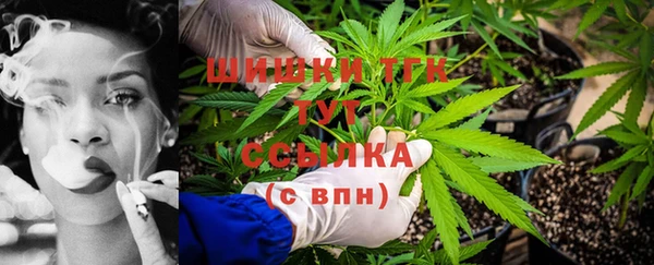 ALPHA PVP Няндома