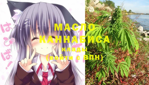 молекула духа Кулебаки