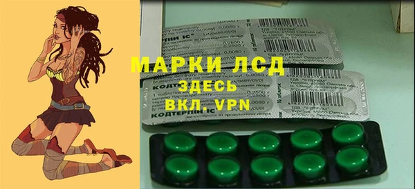 apvp Кукмор