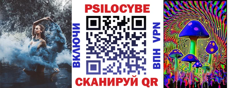 магазин    Красный Кут  Галлюциногенные грибы Psilocybe 