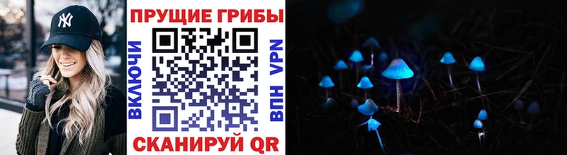 Псилоцибиновые грибы Psilocybine cubensis Красный Кут